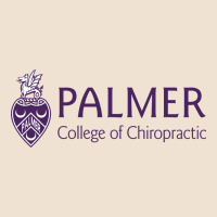 Palmer College Of Chiropractic Urban Heavy Tee | Teevron