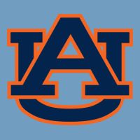 Auburn Tigers Urban Heavy Tee | Teevron