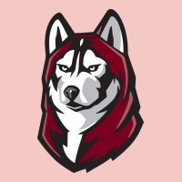 Bloomsburg Huskies Urban Heavy Tee | Teevron