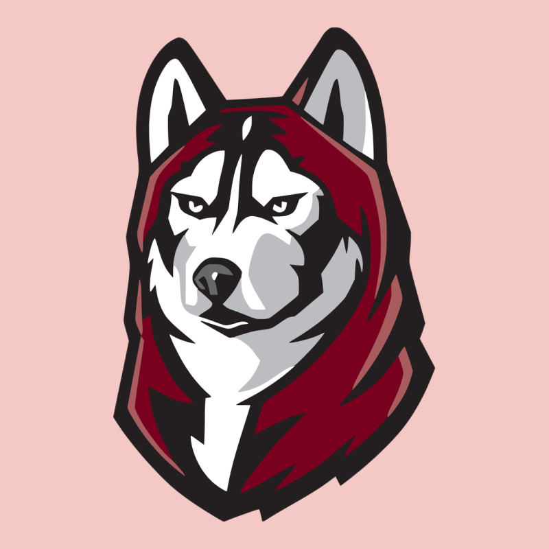 Bloomsburg Huskies Urban Heavy Tee by artisFamous | Teevron