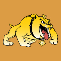 Bowie State Bulldogs Urban Heavy Tee | Teevron