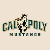 Cal Poly Mustangs Urban Heavy Tee | Teevron