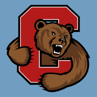Cornell Big Red Urban Heavy Tee | Teevron