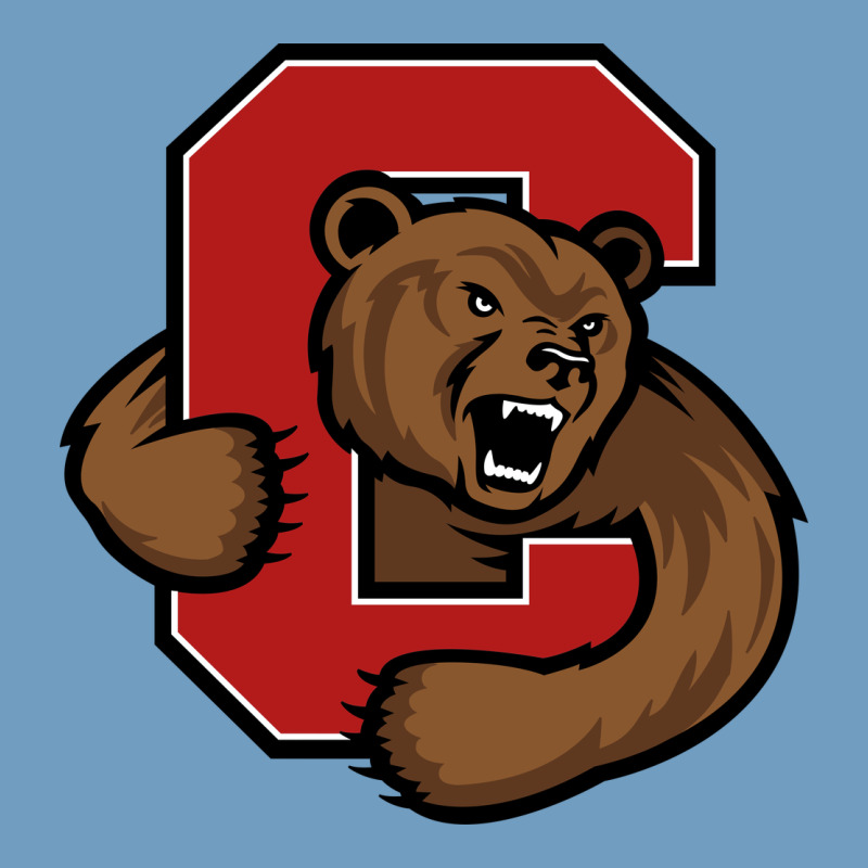 Cornell Big Red Urban Heavy Tee by artisFamous | Teevron