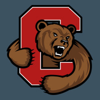 Cornell Big Red Urban Heavy Tee | Teevron