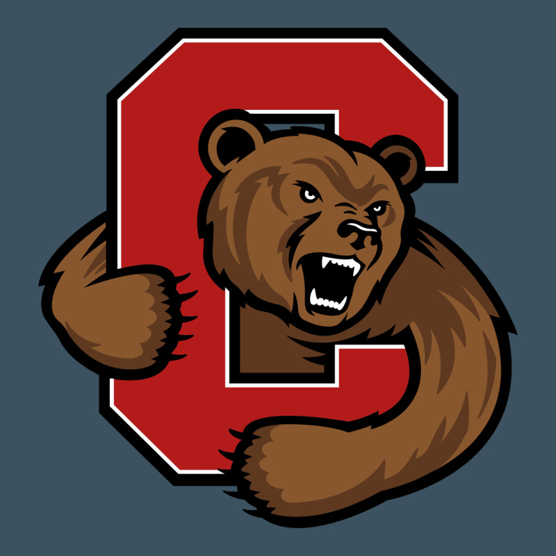 Cornell Big Red Urban Heavy Tee by artisFamous | Teevron