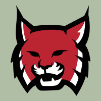 Rhodes College Athletic Urban Heavy Tee | Teevron