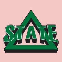 Delta State Athletics Urban Heavy Tee | Teevron