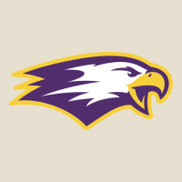 Elmira College Urban Heavy Tee | Teevron
