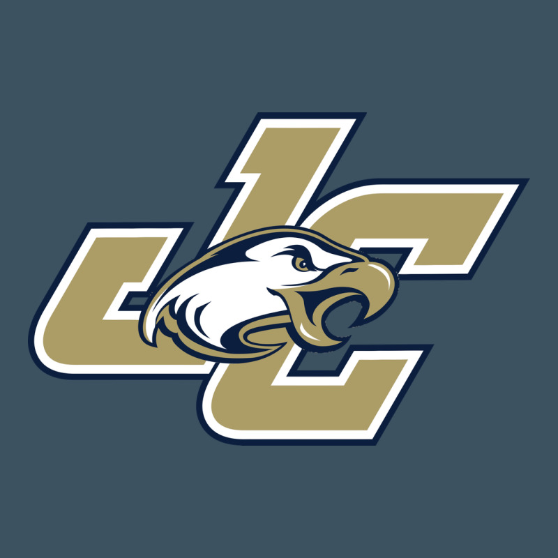 Juniata College Urban Heavy Tee by artisFamous | Teevron
