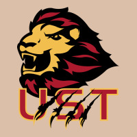University Of Saint Thomas Spirit Urban Heavy Tee | Teevron