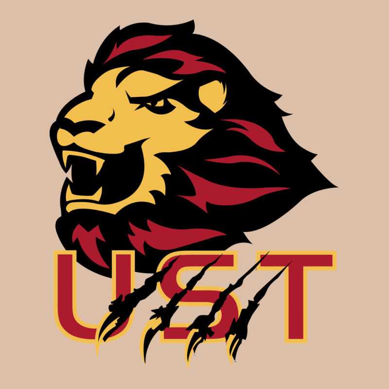 University Of Saint Thomas Spirit Urban Heavy Tee by artisFamous | Teevron