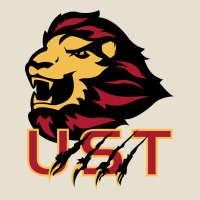 University Of Saint Thomas Spirit Urban Heavy Tee | Teevron