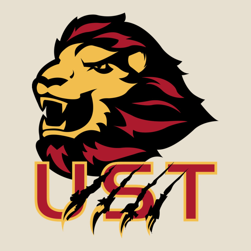 University Of Saint Thomas Spirit Urban Heavy Tee by artisFamous | Teevron