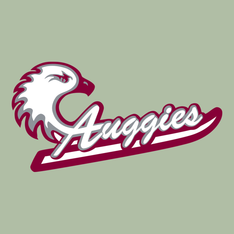 Augsburg University Urban Heavy Tee by artisFamous | Teevron