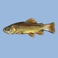 Arizona Apache Trout Fish Premium Hoodie | Teevron