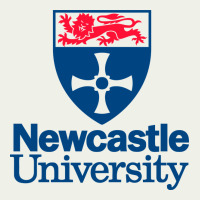 Newcastle College Urban Heavy Tee | Teevron