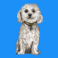 Bichon Frise Dog Classic Tee | Teevron