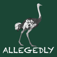 Allegedly Urban Hoodie | Teevron
