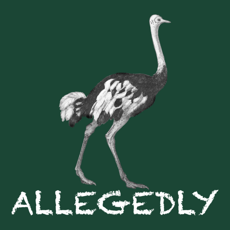 Allegedly Urban Hoodie by Bettercallsaul | Teevron