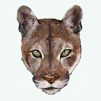 Florida Panther  Face Premium Hoodie | Teevron