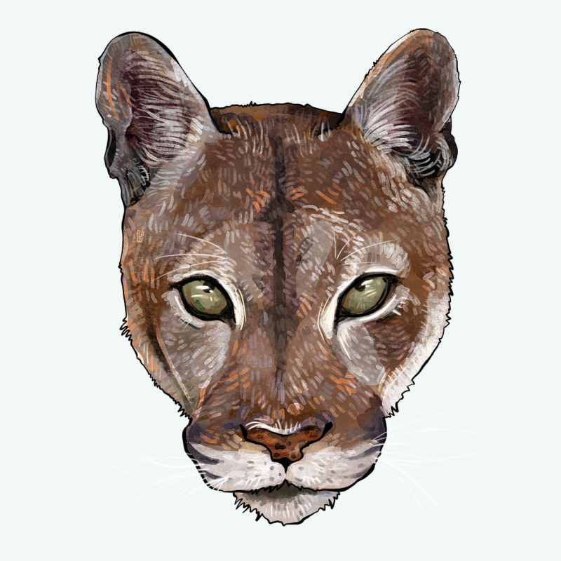 Florida Panther  Face Premium Hoodie by BarkalooDesign | Teevron