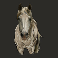 Horse Heavy Core Tee | Teevron