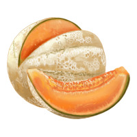 colorado cantaloupe png | Teevron
