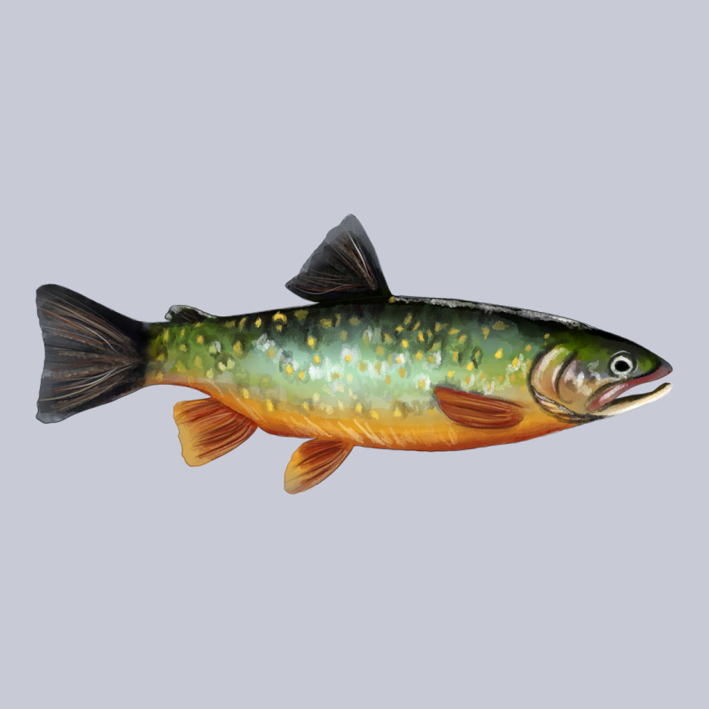 Greenback Cutthroat Trout Fish Heavyweight Hoodie by RanaPortraitStore | Teevron
