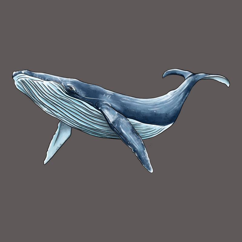 Humpback Whale Premium Hoodie by BarkalooDesign | Teevron