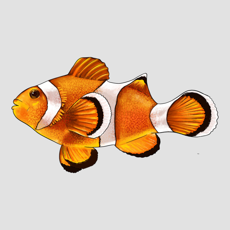 Clown Fish Side Premium Hoodie by BarkalooDesign | Teevron