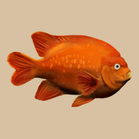California Garibaldi Fish Heavyweight Hoodie | Teevron