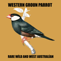 Western Ground Parrot Rare Wild And West Australia Urban Hoodie | Teevron