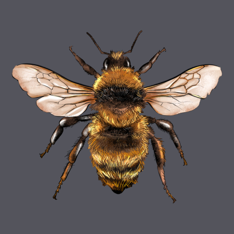 Bee Vintage Hoodie by Artiststas | Teevron