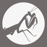 Praying Mantis Urban Heavy Tee | Teevron