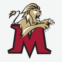 Lions, Molloy College Urban Heavy Tee | Teevron