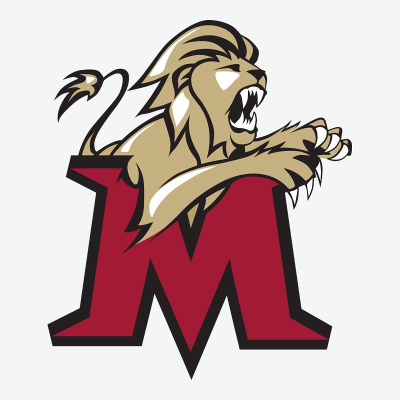 Lions, Molloy College Urban Heavy Tee by linhVisuals | Teevron