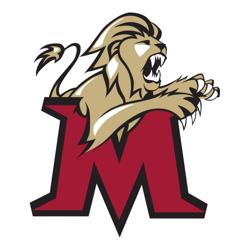 Lions, Molloy College Urban Heavy Tee by linhVisuals | Teevron