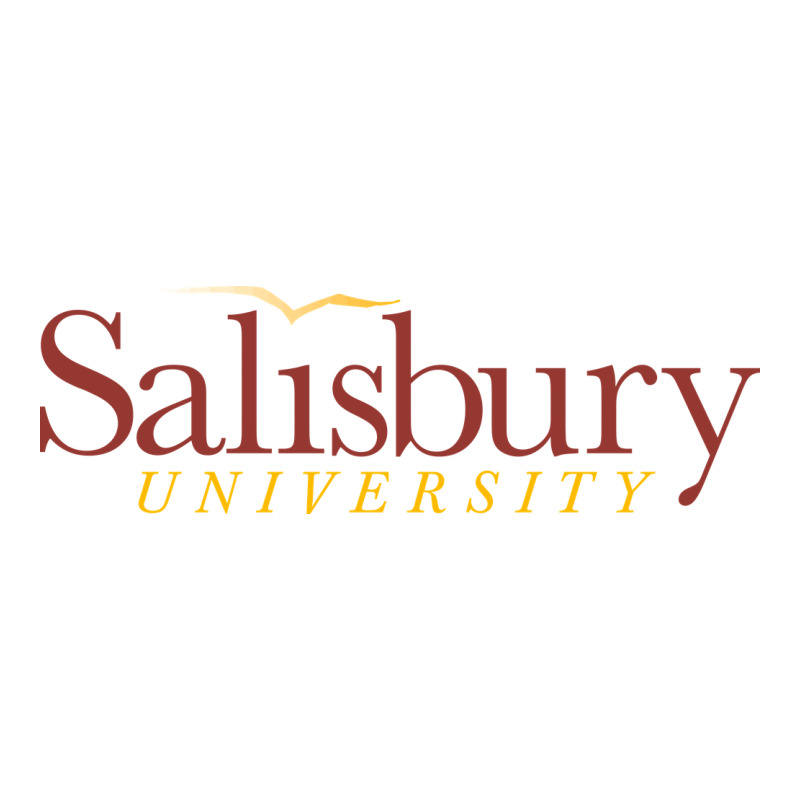 Salisbury University Urban Heavy Tee by linhVisuals | Teevron
