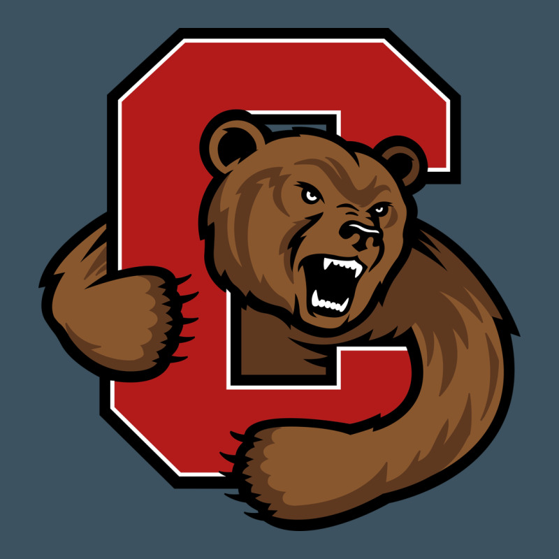 The Cornell Big Red Urban Heavy Tee by linhVisuals | Teevron