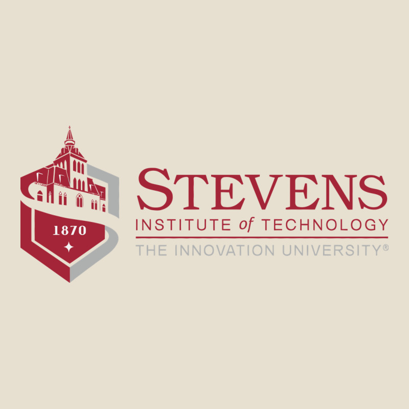 Stevens Institute Of Technology Urban Heavy Tee by linhVisuals | Teevron