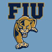 The Fiu Panthers Urban Heavy Tee | Teevron