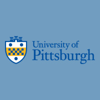 University Of Pittsburgh Urban Heavy Tee | Teevron