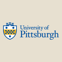 University Of Pittsburgh Urban Heavy Tee | Teevron
