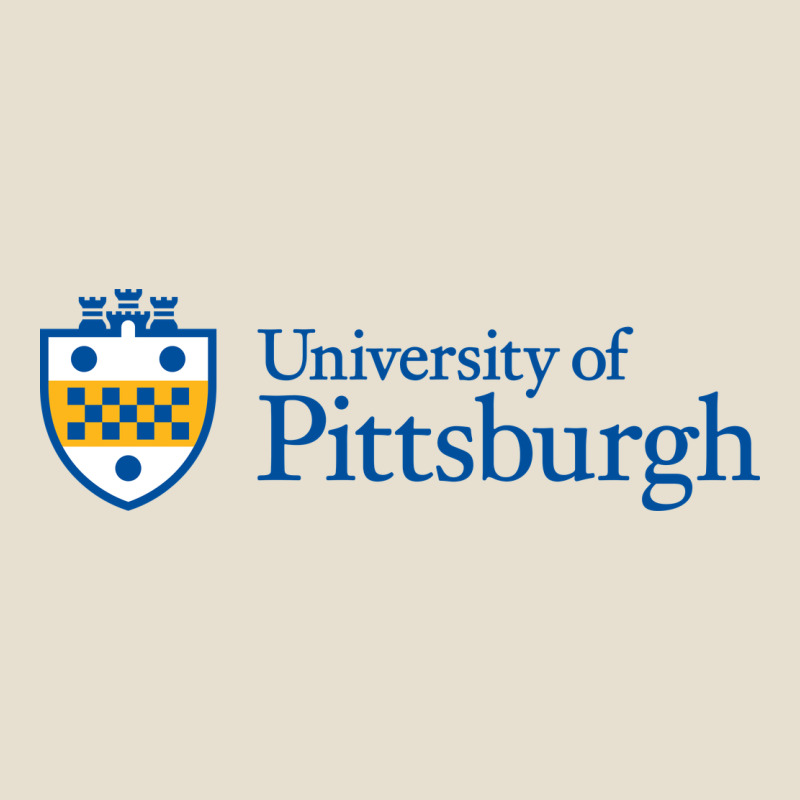 University Of Pittsburgh Urban Heavy Tee by linhVisuals | Teevron