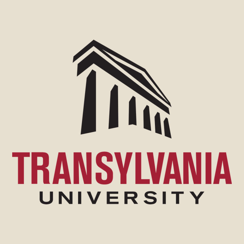 Transylvania University Urban Heavy Tee by linhVisuals | Teevron