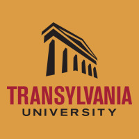 Transylvania University Urban Heavy Tee | Teevron