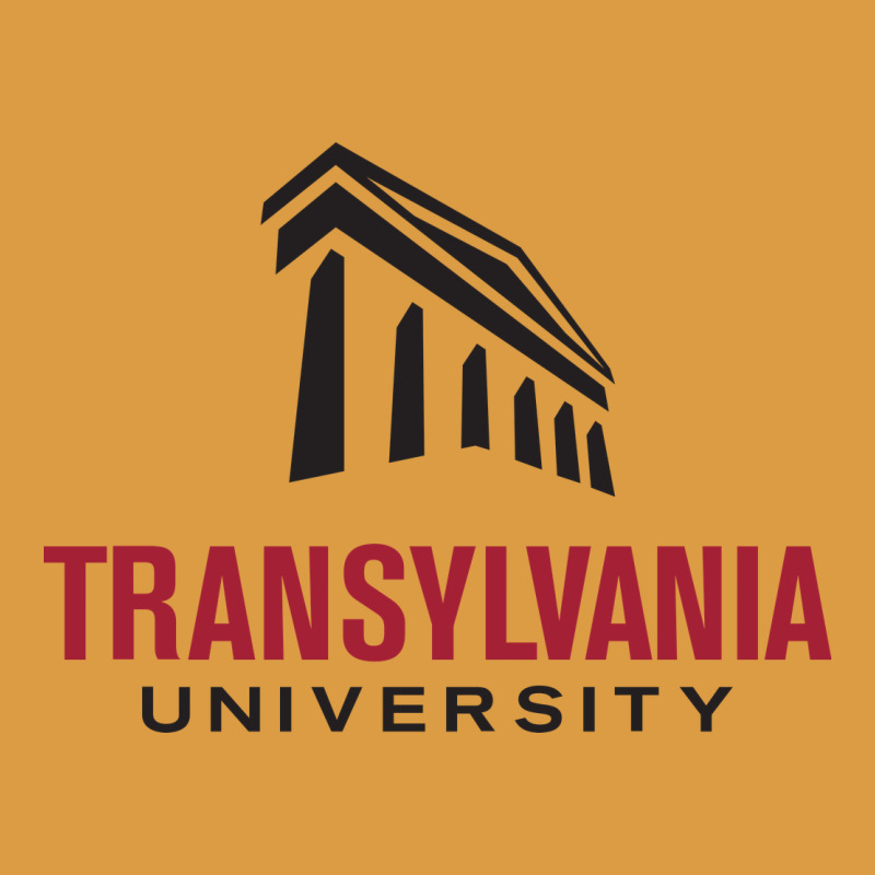 Transylvania University Urban Heavy Tee by linhVisuals | Teevron