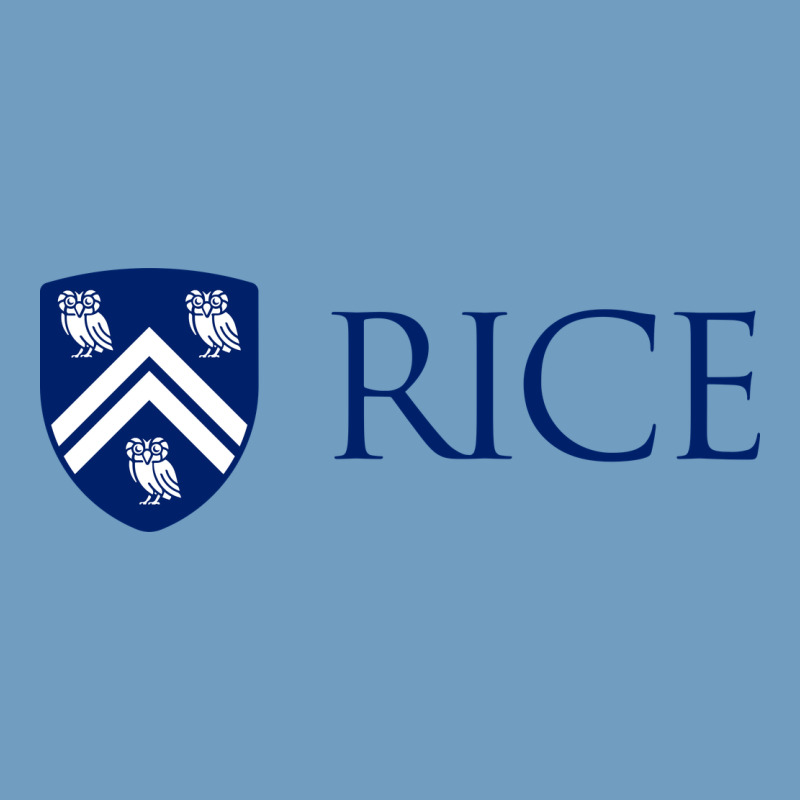 Rice University Urban Heavy Tee by linhVisuals | Teevron