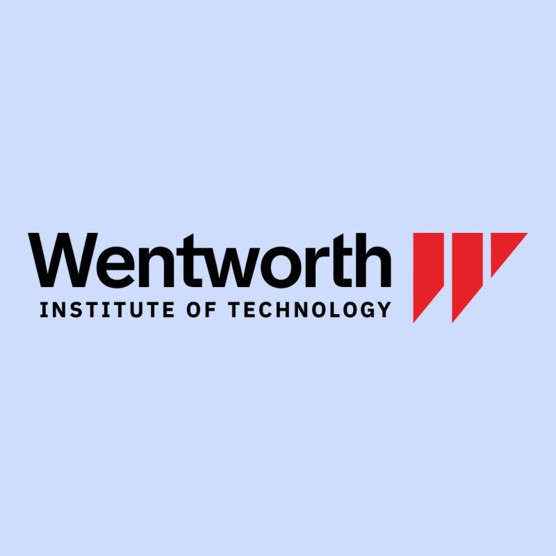 Wentworth Institute Of Technology Urban Heavy Tee by linhVisuals | Teevron